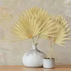 장식 꽃 6Pcs 대형 말린 종려 잎 자연 팬 꽃 꽃다발 웨딩 Decors 팬