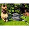 Dog Toys Chews Mimics Dead Duck Bumper Toy For Training Puppies Or Hunting Dogs Teaches Mallard Waterfowl Game Retrieval Dummy 230307