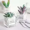 Fleurs décoratives Simulation de plantes vertes, petits pots de décoration de Table de bureau, Mini Cactus succulents, fausses fleurs, ornements de salon