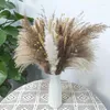 Fiori decorativi A63I Boho Decor Pampas Erba Fluffy Floral 80 steli Disposizioni secche Pampas Wheat Limonium4041467