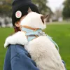 I collari di gatti conducono Kimpets trazione corda anti-break spalle cablaggio toracico che cammina cravatta regolabile