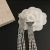 Moda Lüks Küpeler Küpe Tasarımcı Tassel Shangle Luxury Chandelier Mücevher Elmas Mektubu Aşk Kadınlar İçin Gümüş Kulüp Tasarımı Vintage Avrupalı ​​Sevgili Parti A