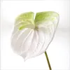 الزهور الزخرفية النباتات الاصطناعية النباتية الخضراء 3D طباعة كبيرة الحزام أنثوريوم الحدائق