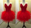 Sexy Red Short Prom Birthday Dress 2023 Sweetheart Crystal Feather veter avondjurken Nacht feest Outfits Women Robe de Soiree