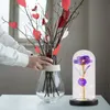 장식용 꽃 화환 1pc 섬세한 장미 LED 가벼운 장식 침대 옆 장식 낭만적 인 생일 선물