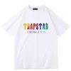 Мужской дизайнер Новая футболка с пиджой, вождение собаки, печатные женские женские 2023SS Модные свободные футболки Trapstar Tops High Street с коротким рукавом Asia Size S-3XL