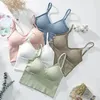 Bustiers Corsets 스포츠 속옷 U 자형 탄성 브라 튜브 탑 여성 Bralette Crop Candy Colors 부드러운 편안한 패션 여성 거리