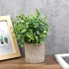 Decorative Flowers Mini Potted Plants Artificial Eucalyptus Boxwood Rosemary Greenery In Pots Faux Herbs Small Houseplants 8.3"-9"