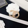 top Brand Figure Stamp Brooches Pins Copper Jewelry Pin Brooches Funny Desinger Womens Men Vintage Broochs lovers Wedding party Dress Accessories Gift{category}