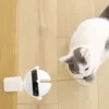 Toys de gato levantando o brinquedo de bola de bola elétrica quebra