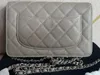 5A Wallets CC AP0250 WOC Classic Wallet on Chain Grained Caviar Quilted Silver Hardware Shoulder Handbags For Women With Box Fendave