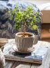 Vases Mini Coffee Cup Tea Ceramic Flower Pot Fleshy Green Plant Breathable Retro Nordic