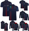 Formel 1 2023 Red Bull Team Poloshirt T-Shirt Sommer Neue F1 Racing T-Shirts Gleiche Autofans T-Shirt Benutzerdefinierte Serie F1 Hoodie Herren Sweatshirt