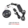 Strisce LED Dream RGB Luci di striscia Retroilluminazione WLED fai-da-te per la sincronizzazione della stanza Nastro a diodi Controllo Wifi 1-5M Kit 5VLED StripsLED