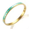 Bangle kleurrijk emailgolfpunt armband voor vrouwen rond charm roestvrijstalen trendy Bijouxbangle