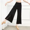 Stage Wear Adult Modal Mesh Belly Dance Palazzo Pants Flare Bottom Yoga Wide Leg Trousers Costume For Women Dancing Clothes Dancer