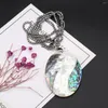 Ketten Natürliche Abalone Muschel Halskette Anhänger Ovale Form Exquisite Charms für Schmuckherstellung DIY Armband Ohrringe Party Hochzeitsgeschenk