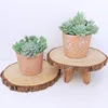 Decorative Flowers 11 Pcs Mini Artificial Succulents Picks Unpotted Faux Succulent Assortment In Flocked Green