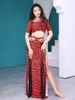 Stage Wear Belly Dance Top Or Skirt Leopard Print Shirt High Waist Split Practice Clothes Female Adult Elegant Performance Clothing