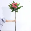 Decoratieve bloemen gesimuleerd Frangipani plantmateriaal nep groene wanddecoratie plastic gazon bloemblad film