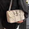 Small Pink Chain Crossbody Bags for Women 2024 Spring Trend New In Zipper Design Female Quilted Handbags and Purses