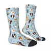 Calcetines de hombre Lista de tareas diarias Fondo azul Conejillo de indias Cavia Porcellus Animal Hombre Mujeres Medias de verano impresas