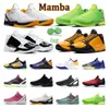 Mamba Zoom 6 Protro Grinch Basketbol ayakkabıları Erkekler Bruce Lee Ne Olursa Lakers Büyük Sahne Kaos 5 Yüzük Metalik Altın Erkek Eğitmenler Spor Açık spor ayakkabı 40-46