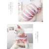 Kostiumy kotów Ubrania Mały sweter Pulor Pet British Short Blue Ear Puppet Striped Autumn Winter Therthth Grustowanie