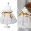 Vêtements pour chiens jupe pour animaux de compagnie belle ceinture à nouer robe de mariée petite fille moyenne chiens chiot blanc robes de princesse fournitures