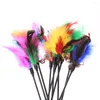 Cat Toys 5pcs/set Short Rod Interactive Stick Colorful Feather Chicken Bell Exquisite Creative Novelty Pet Supplies