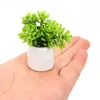 Dekorativa blommor mini hus prydnad växter dekorera falska saftiga barn bonsai modell krukut