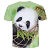 Camisetas masculinas 2023 moda fofa impressão 3D Chinesa camisa panda homem menino verão infantil tee tops