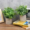 Decorative Flowers Mini Potted Plants Artificial Eucalyptus Boxwood Rosemary Greenery In Pots Faux Herbs Small Houseplants 8.3"-9"