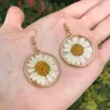 Boucles d'oreilles pendantes mode fleurs préservées vraie marguerite résine Hippie Boho bijoux hypoallergéniques cadeaux pour elle