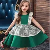 Girl Dresses Baby Lace Flower Birthday Party Dress Toddler Kids Wedding Infant Ball Gown Vestidos Baptism Children Clothing