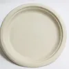 Disposable Paper Plates Natural Sugar Bagasse Plate Camping Picnic Eco-Friendly Unbleached Plates