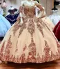 Red Sweet 16 Quinceanera Dress Sequined Sparkly Lace Pageant Party Dress Ball Gown Mexican Girl Birthday Gown