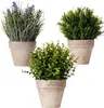 Fleurs décoratives Artificielles Mini Plantes En Pot Ensemble De 3 Faux Eucalyptus Herbe Lavande Verdure En Pots Petites Plantes D'intérieur