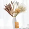 Decorative Flowers BMDT-70 Pieces Pampas Grass Dried Decoration Natural Plants