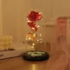 Party Favor LED Enchanted Galaxy Eternal Roses 24K Gold Foil Flowers With Fairy String Lights In Dome For Mother Valentine's Day Gift RRA1208
