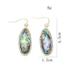 Bengelen oorbellen hyperbool lange waterdruppel abalone shell earring gefacetteerde hars charmes oorhaak bohemian moda vrouw feest sieraden cadeau