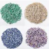 100g Aquarium Décorations Pierres Précieuses Naturelles Cristal Gravier Puce Guérison Minerai Quartz Spécimens Minéraux Pierres Dégringolées Maison Rempotage Décor Roches Décoratives