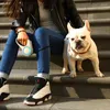 Köpek yakaları petkit 3m/4,5m geri çekilebilir evcil hayvan tasma LED ışık gece kurşun yürüme süresi ipi esnek manyetik temas usb şarj edilebilir