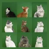 Obroże dla kotów prowadzi PET Przystojne Katę Krawę Słodkę Red Po Serie Serie Serie Series Zabezpieczenia Naszyjne Szalik 230309