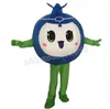 Hot Sales Blaubeer-Maskottchen-Kostüm in Erwachsenengröße, personalisierbar, Cartoon-Anime-Thema-Charakter, Weihnachts-Geburtstagsfeier-Kostüme in Erwachsenengröße
