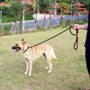 Colliers pour chiens Laisse pour animaux de compagnie Laisses d'entraînement à la marche rembourrées et douces 6 FT Nylon et collier Heavy Duty Durable