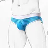 Underpants Super Soft Comfortable Underwear Ice Silk Sheer Transparent Mesh Men's Briefs Striped Shorts Sexy Exotic Low-Waist