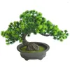 Decoratieve bloemen Pot Simulatie Planten Desktop Display Home Decor Office Gemakkelijke schone kunstmatige bonsai boomtuin ornamenten gastvrij