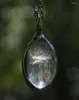 Catene semi di tarassaco vintage che desiderano collana in vetro pietra tempo ovale