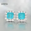 Серьги Серьги люстра Cosya 925 Серебряное небо синее Paraiba 7 7mm Micro-Set High Carbon Diamond Luxury Женская свадьба мелкая